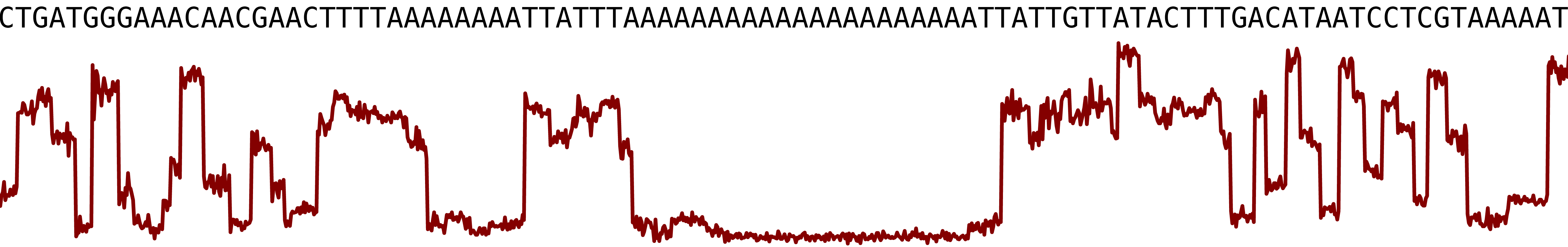 Long homopolymer ONT squiggle